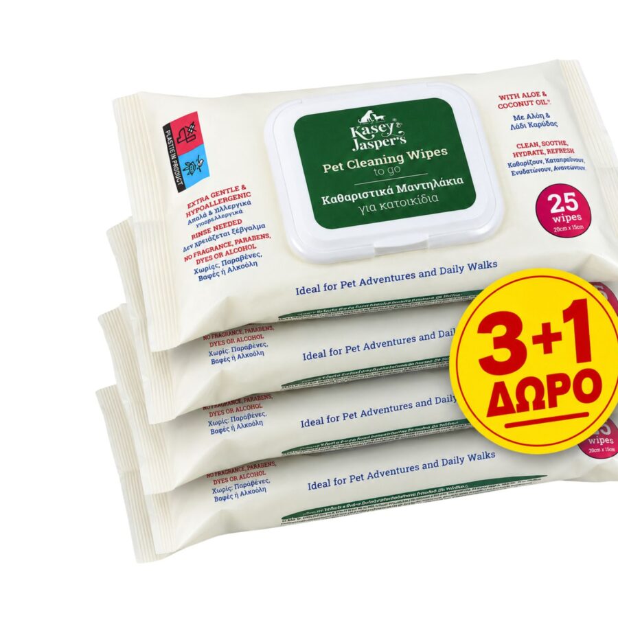 travel wipes 25pcs